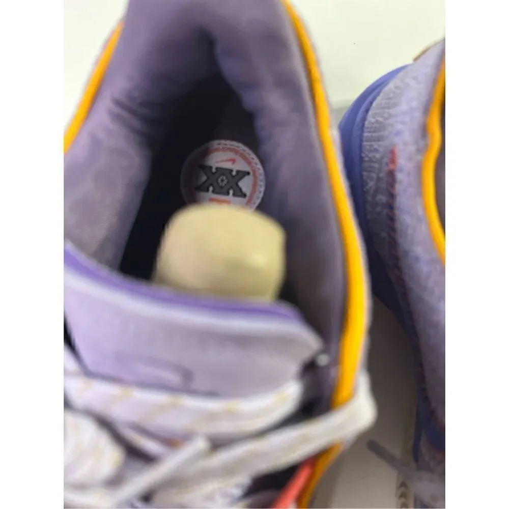 LeBron XX “Purple and Gold” BRAND NEW WITH BOX